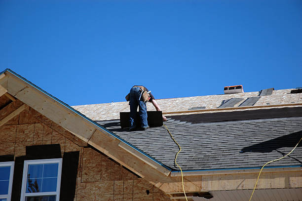 Roof Gutter Cleaning in Homeland Park, SC